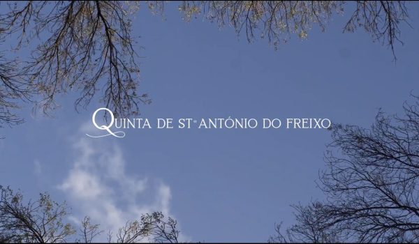alt ="quinta de santo antónio do freixo promocional video"