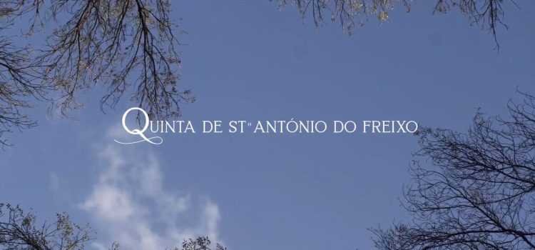 alt ="quinta de santo antónio do freixo promocional video"